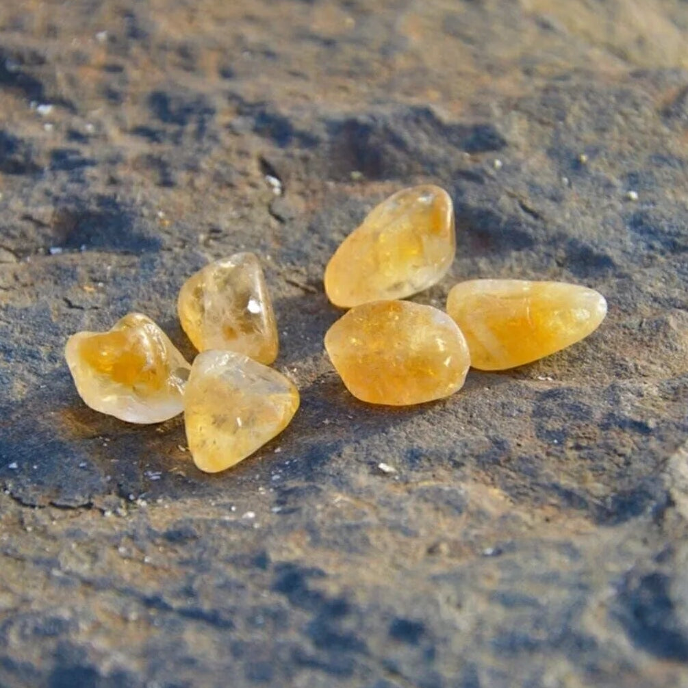 Cüzdan Boy Para Taşı (3 Adet)